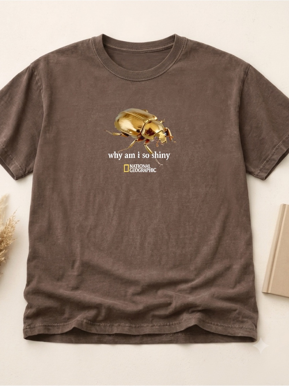 Gildan Brown National Geographic black "Why Am I So Fly" Bug t-shirt